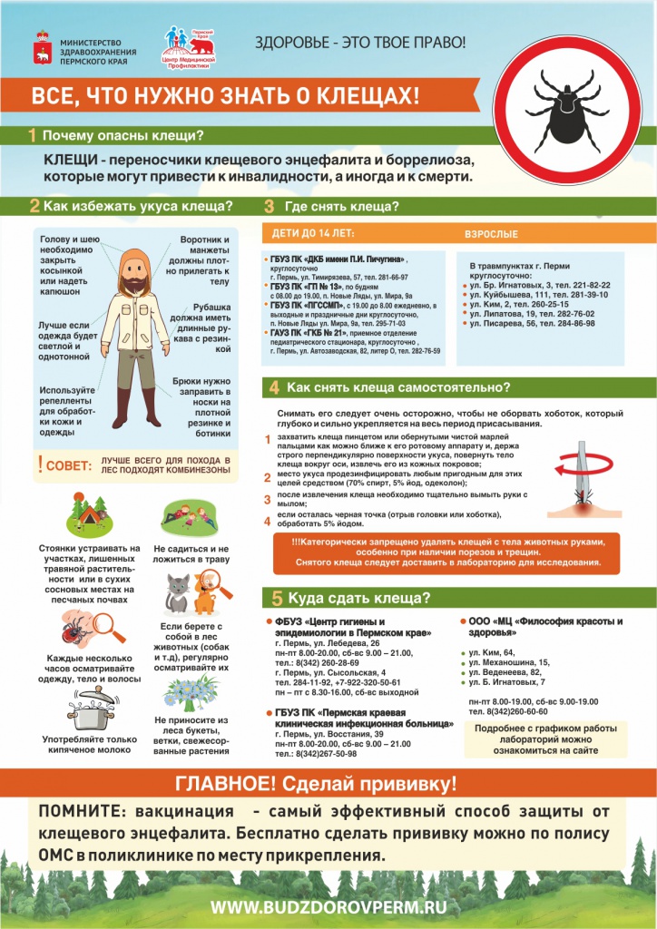 План мероприятий по профилактике клещевого энцефалита